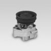 HEPU P123 Water Pump